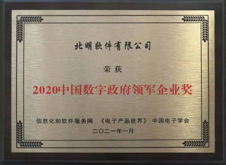 2021-1-11 中国数字政府领军企业奖.jpg